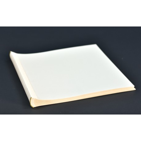 Tripa álbum fotos 25x25 Cm. 12 páginas